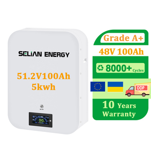 Selianenergy 48V 51.2V 100AH lớp A + LiFePO4 Pin tế bào pin Lithium gói 5kwh treo tường nhà năng lượng Hệ thống lưu trữ - Product Image 1