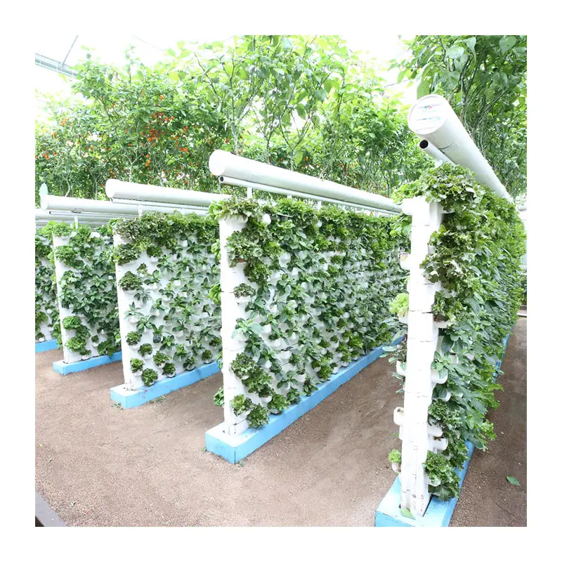 الأسرة العمودي مصنع تنمو المائية برج داخلي الخضار زراعة نظام استزراع مائي Aeroponic برج إلى تنمو 80 النباتات