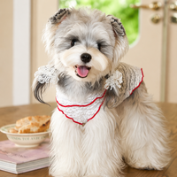 Gilet en dentelle professionnel pour chien B2B, vêtements pour animaux de compagnie en tricot ajouré doux et respirant avec logo personnalisable, livraison rapide en 7 jours