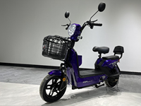 Sepeda Motor Listrik 21-Speed Layar Digital Musim Dingin 48V 350W E-Bike dengan Baterai 12A/20A Sepeda Kota Pintar dengan Rem Kabel (tidak termasuk baterai)