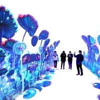 Panel de Video Flexible LED Space Time Tunnel P2.5 con HDR10+ a Todo Color 1080P para Publicidad Inmersiva en Interiores