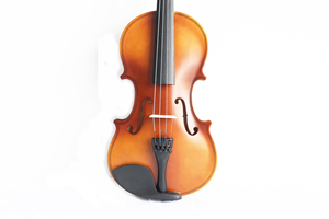 Avancé populaire coloré d'épinette d'érable 4/4 <span class=keywords><strong>violon</strong></span> - Product Image 2