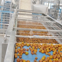 Ligne de production automatique de sirop de dattes Medjoul contrôlée par PLC, machine de transformation du miel de dattes Jujube
