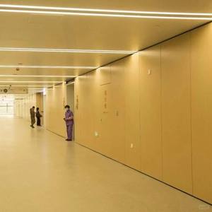 Chapa de aluminio grande y ligera excelente <span class=keywords><strong>para</strong></span> techos de hospitales con buena capacidad antibacteriana <span class=keywords><strong>para</strong></span> <span class=keywords><strong>paredes</strong></span> y techos exteriores - Product Image 2