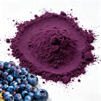Wild Blueberry Fruit Extract Poeder - Zuivere Voedingskwaliteit Natuurlijke Anthocyanosiden 25% (HPLC) Kunstmatige Planten Anthocyanine