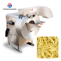Commerciële Automatische Groente Fruit Aardappel Strip Snijmachine Frietjes Aardappelsnijmachine