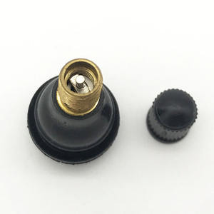 Pièce d'auto de haute qualité <span class=keywords><strong>TR412</strong></span> pièces de rechange de <span class=keywords><strong>valve</strong></span> de pneu <span class=keywords><strong>Tubeless</strong></span> pour <span class=keywords><strong>valve</strong></span> de pneu de voiture <span class=keywords><strong>TR412</strong></span> - Product Image 1