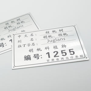 Targhette Metalliche Personalizzate, Stampa di Precisione, Etichette in Alluminio Fatte a Mano, Identificazione Professionale dei Prodotti - Product Image 4