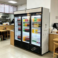 Refrigerador Comercial Vertical con Puerta de Vidrio, Sin Escarcha, para Exhibición de Bebidas en Restaurantes y Tiendas, Ideal para Exhibición de Cerveza