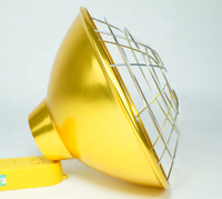 Offre Spéciale lampe chauffante étanche à gradation continue 250w 175w lampe de couvage pour volaille animaux incubateur infrarouge abat-jour