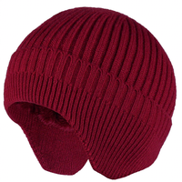 Bonnet d'hiver tricoté 100 % acrylique avec logo brodé personnalisé, motif lettres, chaud et tendance, en tissu à caractéristiques communes