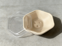 Bol écologique en pulpe de bagasse de canne à sucre biodégradable pour soupes et salades – Vaisselle jetable design
