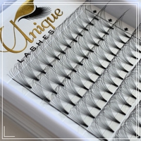 Stock disponible – Éventails de cils préfabriqués en fibre PBT coréenne, ultra-noirs 8D 9D 10D, tige courte 10 mm, 12 rangées