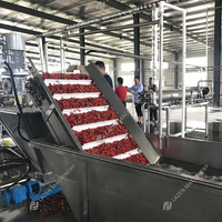 Bessenfruit Bramen Aardbei Bosbessen Frambozen Jam Sap Productie-Installatie Verwerkingsmachine Lijn
