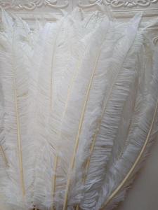 Fabricante de plumas de avestruz de 18-26 pulgadas personalizadas de alta calidad de fábrica <span class=keywords><strong>Nandu</strong></span> de avestruz para decoración de fiestas - Product Image 4