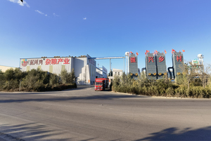 Miglio secco all'ingrosso per il cibo degli uccelli dito miglio giallo grano di miglio - Product Image 4