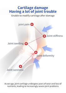 OEM salep penghilang nyeri otot, QFSN 100g/kotak <span class=keywords><strong>Arthritis</strong></span> tahan lama - Product Image 2