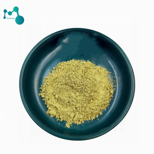 ルチン粉末バルク天然ルチン抽出物95% ルチン粉末工場供給 - Product Image 1