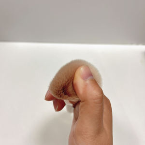 ชุดแปรงแต่งหน้าแม่เหล็ก4ชิ้นสีชมพูเครื่องมือเครื่องสำอางส่วนบุคคลพร้อมชั้นวางเครื่องเป่าสำหรับ<span class=keywords><strong>การ</strong></span>ใช้คอนซีลเลอร์ - Product Image 2