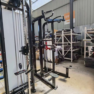 Fabricante de Equipos de Gimnasio Comerciales SK: Producción de Máquinas de Levantamiento de Pesas con Selección de Carga por Pin y Asistencia para Dip y Pull-up - Product Image 3