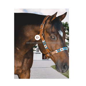 Licol en cuir pour cheval de polo, licol gaucho, design de fil coloré, licol en cuir pour cheval de polo, grossiste fabricant - Product Image 1