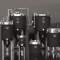 Équipement de Fermentation en Acier Inoxydable 304 de Qualité Alimentaire, Fermenteur à Température Constante pour Baijiu et Fruits