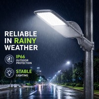 Lampadaire LED 100W IP66 à large plage de tension AC100-277V pour projets d'éclairage public des routes urbaines secondaires et des autoroutes