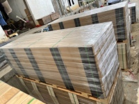 Pelapis dinding dekoratif PVC, pelapis dinding dekoratif Panel dinding eksterior
