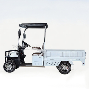 Voiturette de golf électrique nouvelle conception, moteur 220V, pour parcours de golf, hôtel, resort, chariot utilitaire de golf - Product Image 4