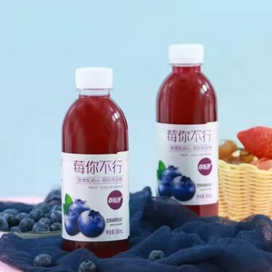 Boissons alimentaires : Boisson aux fruits Prime Drink, Jus de Kiwi, Fraise, Myrtille, Vin de Kiwi en bouteille - Product Image 4