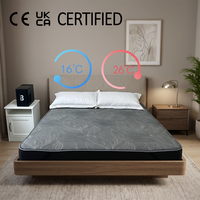 Matelas rafraîchissant et chauffant, système de refroidissement pour lit, idéal pour les personnes ayant chaud la nuit, plage de température 54 ℉ -131 ° F