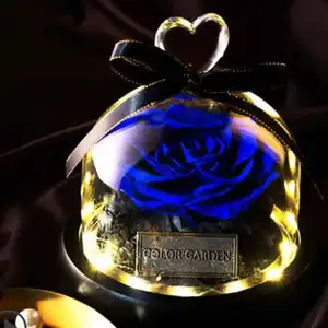 新的表达礼物给女朋友用玻璃盖礼物永恒的鲜花