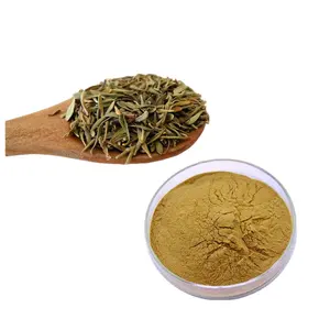 Hot Selling Thyme Extract 98% Thymol Powder Thyme Leaf Extract Powder Thymus Serpyllum L