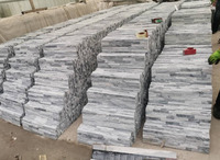 Panneaux de revêtement mural extérieur et intérieur en quartzite naturel gris nuageux, modernes, durables, résistants aux acides, garantie 5 ans