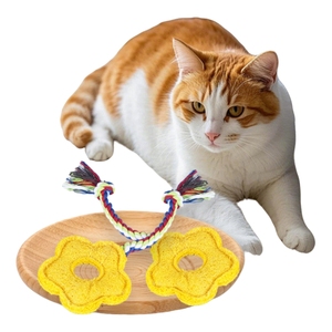 Cat Training <b>Teeth</b> <b>Cleaning</b> Grinding Toy Sponge Gourd Loofah Indoor Use Soothing <b>Tool</b> - Product Image 1