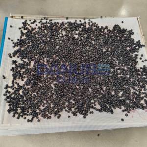 Nouvelle Chambre de Séchage à Pompe à Chaleur pour Fruits, Équipement de Déshydratation de Myrtilles, Machine à Sécher les Myrtilles - Product Image 3