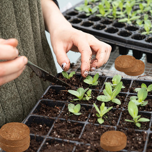 4CM di cocco organico con disco di torba semi <span class=keywords><strong>per</strong></span> bambini bloccano il terreno dei fornitori <span class=keywords><strong>per</strong></span> la semina di torba biologica certificata - Product Image 4