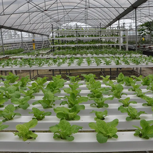 Serre sans sol pour la culture des salades Système hydroponique Tour <span class=keywords><strong>de</strong></span> haricot mungo Système hydroponique Agriculture verticale - Product Image 3