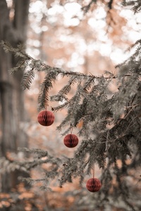 Personalized Family <strong>Christmas</strong> Ornaments Paper Ornaments <strong>Christmas</strong> Tree Ornaments <strong>Window</strong> <strong>Display</strong> for Xmas - Product Image 4