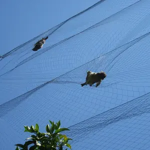 Naylon kuş netleştirme Orchard 50Mm kırmızı Niebla Para Aves tarım kuş sis ağları caubirds küçük kuşlar için hava Net
