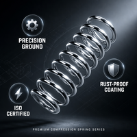 Haute qualité en acier inoxydable essieu avant gauche amortisseur ressorts Suspension ressort Certification bobines Type de charge de Compression