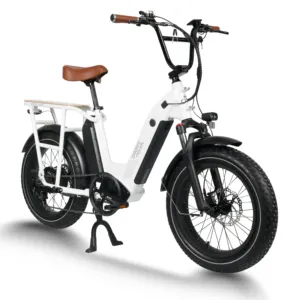 Nouveau Style vélo électrique 48v 750w moteur arrière Ebike 2 roues 20 pouces gros pneus vélo électrique Cargo pour la plage