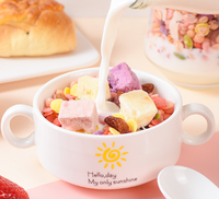 Gefreeze-droogde vruchten, gefreeze-droogde yoghurtblokjes, gemengde gedroogde vruchten, instant snack, bulk gefreeze-droogde Griekse yoghurt