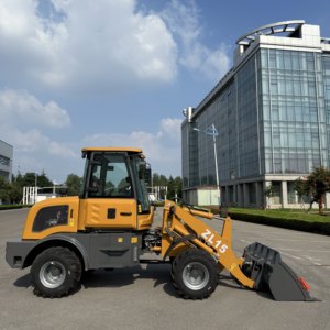 Wheel-type diesel Wheel <span class=keywords><strong>Loader</strong></span> dilengkapi dengan mesin Euro V Yunnei, sebagian besar digunakan untuk pemuat pertanian, untuk dijual - Product Image 5