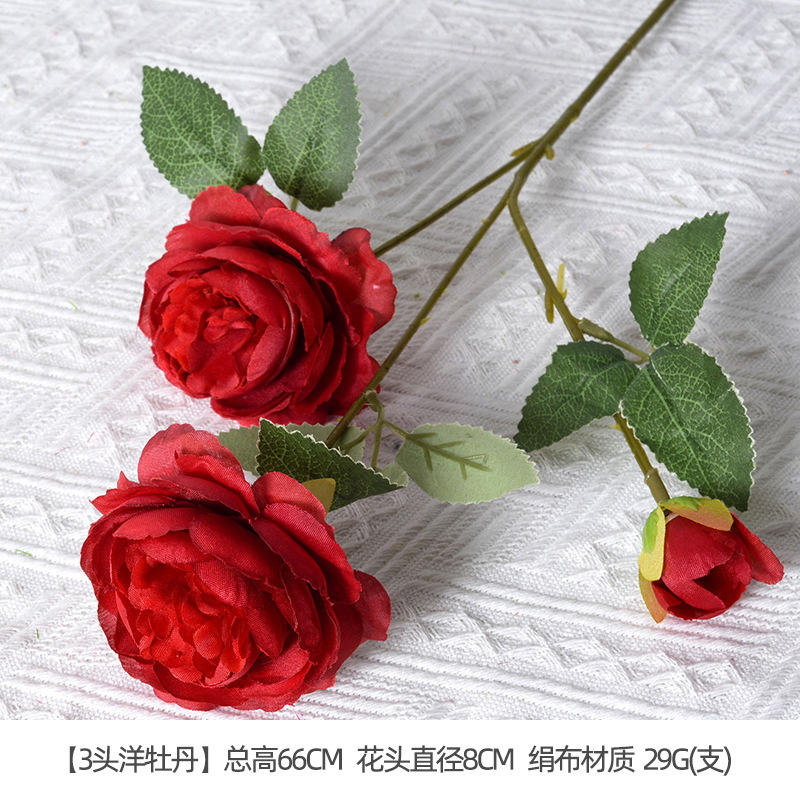 Océan pivoine rouge