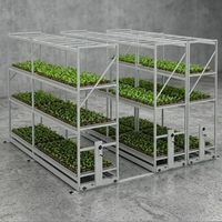 Solution de culture intérieure : Étagères de culture, système d'agriculture verticale, système hydroponique