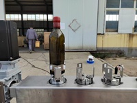 Machine automatique à sceller la cire pour cube rond carré et bouteille de whisky