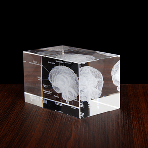 Cristallo originale Laser 3D cervello esemplari cubo di vetro interpretazione medica modello ospedale Souvenir regalo - Product Image 5
