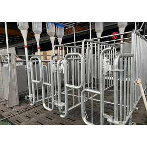 Jaulas para Cerdas de Cría de Marca Privada al por Mayor, Prueba de Gestación para Cerdos - Product Image 3