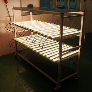 Bandes lumineuses LED de culture intérieure 50W, spectre complet, intensité réglable, pour l'agriculture verticale, l'éclairage supplémentaire domestique et le bricolage - Product Image 1